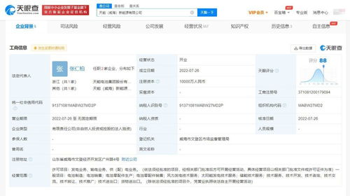 泰豪科技再拓疆域 投资设立新公司，聚焦信息系统集成服务
